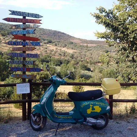 Millesoli Perugia